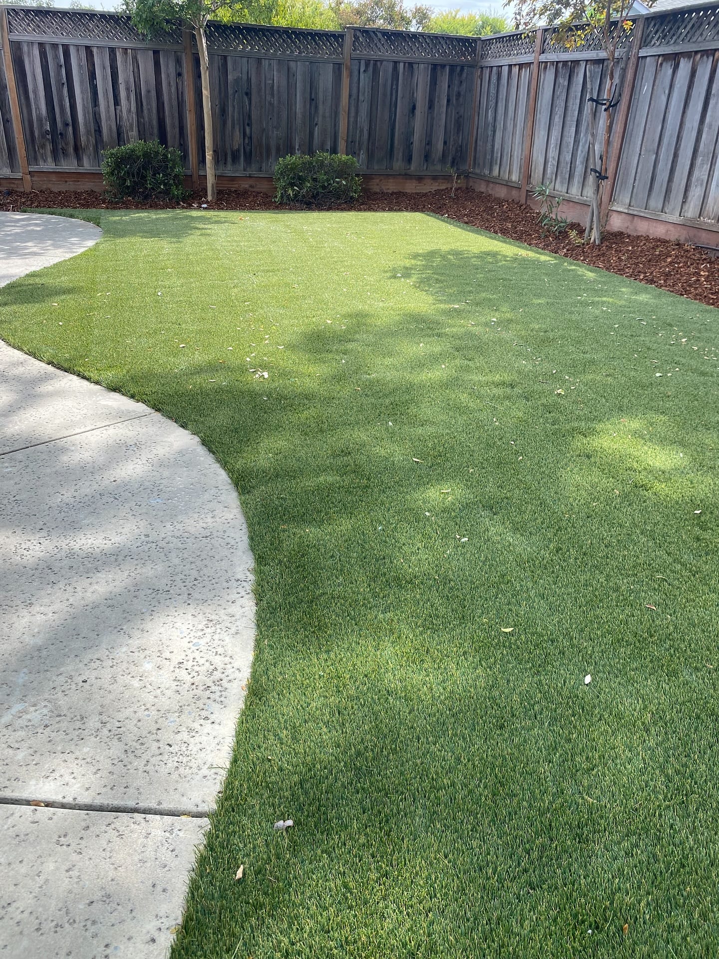 Artificial Turf project 2