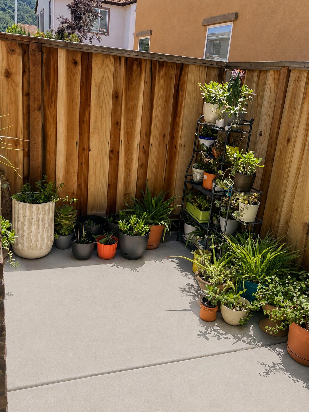 Planting Services project 1