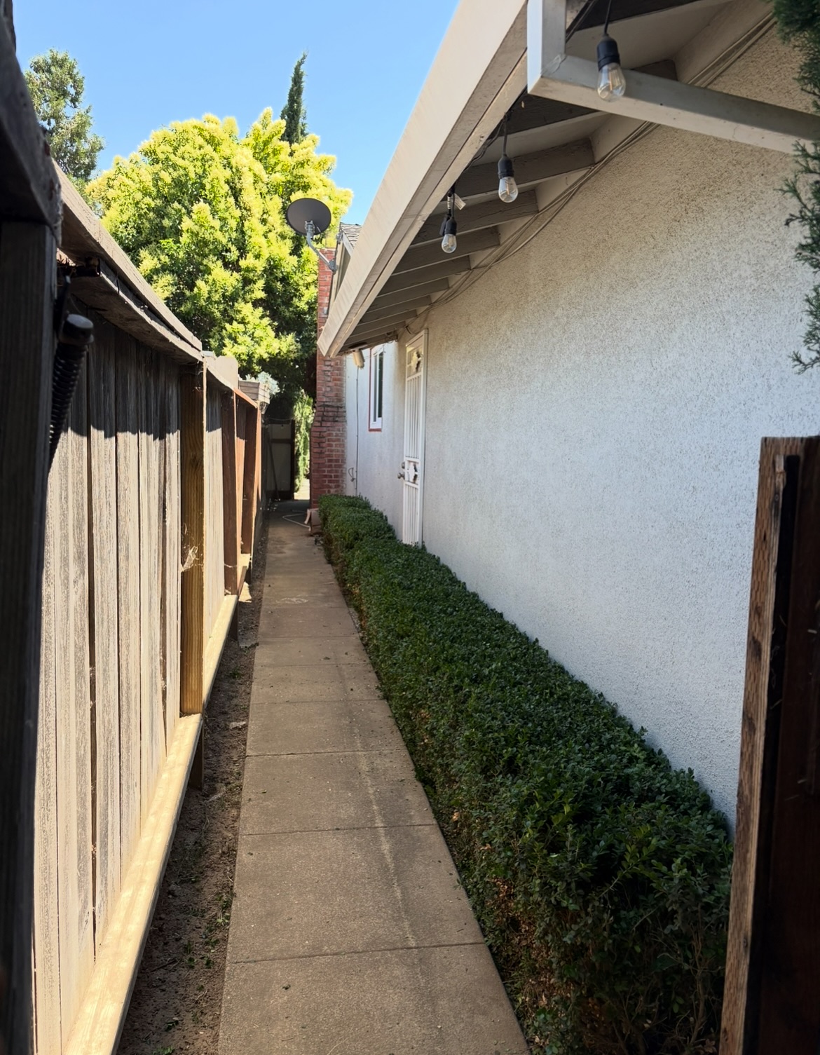 Complete backyard transformation