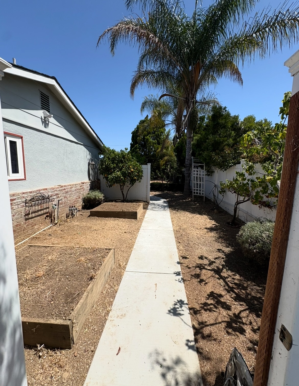 Tree Pruning project 10